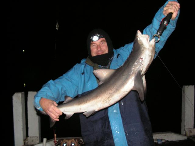 Swan River Whaler/ Bull Shark 6.12.07